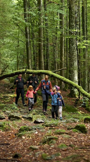 Mehrere Erwachsene und Kinder wandern durch einen Wald. Der Boden ist mit Laub bedeckt. Vor ihnen steht ein umgeknickter, mit Moos bewachsener, Baum, der aussieht wie ein Bogen. | © Bodenmais Tourismus & Marketing GmbH