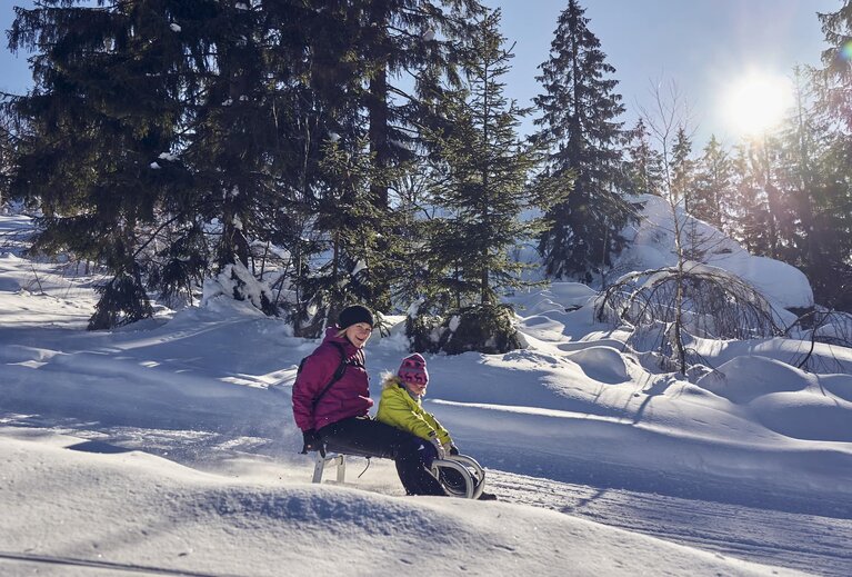 Eine Mutter fährt mit ihrem Kind, beide in Anorak und Schneehose, auf einem Schlitten auf einer verschneiten Piste den Hang hinunter. Neben der Piste stehen Bäume, durch die die Sonne scheint. | © Bodenmais Tourismus & Marketing GmbH