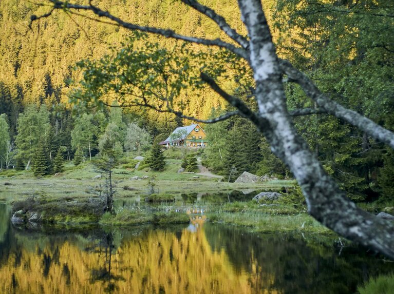 Über den Kleinen Arbersee hinweg blickt man auf die Gaststätte Seehäusl. Der sonnige Wald spiegelt sich im Wasser. | © Bodenmais Tourismus & Marketing GmbH
