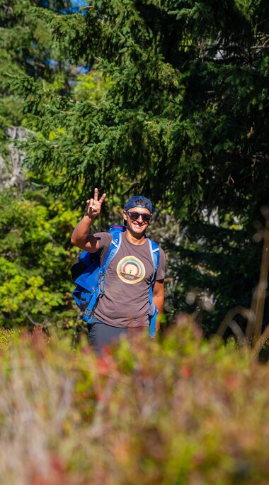 Durch die Heidelbeersträucher fotografiert  sieht man einen Wanderer, der Peace zeigt. | © Bodenmais Tourismus & Marketing GmbH