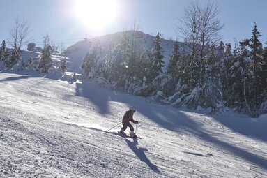 Ein Kind auf Skier fährt bei optimalem Wetter die Skipiste hinab. | © Bodenmais Tourismus & Marketing GmbH
