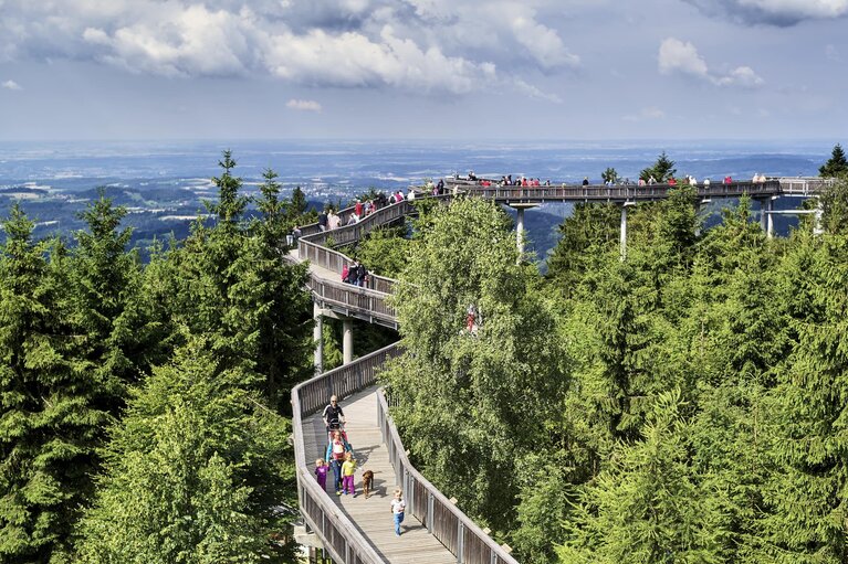 Ein Baumwipfelweg schlängelt sich durch die Baumkronen. Darauf laufen viele Besucher. | © Bodenmais Tourismus & Marketing GmbH