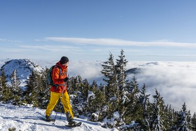Ein Schneeschuhwanderer wandert auf dem Großen Arber und blickt in die Ferne. Der Gipfel liegt über dem Nebel. | © Bodenmais Tourismus & Marketing GmbH