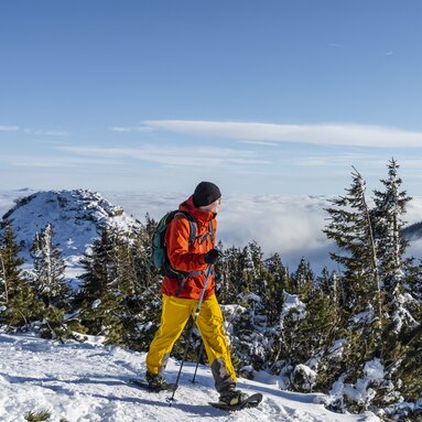 Ein Schneeschuhwanderer wandert auf dem Großen Arber und blickt in die Ferne. Der Gipfel liegt über dem Nebel. | © Bodenmais Tourismus & Marketing GmbH