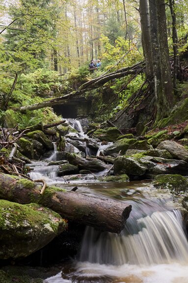 Durch einen Wald fließt ein breiter Bach über Steine und Moos. | © Bodenmais Tourismus & Marketing GmbH