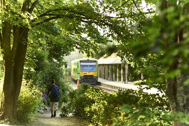 Ein Mann mit Rucksack läuft auf einem Schotterweg, der umrandet ist von blühenden Sträuchern, Büschen und Bäumen. Er läuft in Richtung Bahnstation, in die gerade ein grün-gelber Zug, die Waldbahn, einfährt. | © Bodenmais Tourismus & Marketing GmbH