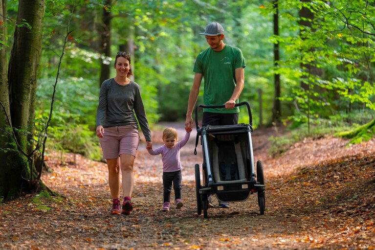 Ein Elternpaar geht mit ihrem Kleinkind an der Hand und einem Kinderwagen einen Waldweg entlang. | © Bodenmais Tourismus & Marketing GmbH