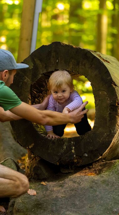 Ein kleines Mädchen krabbelt durch einen ausgehöhlten Baumstamm. Ihr Vater wartet schon mit offenen Armen auf sie. | © Bodenmais Tourismus & Marketing GmbH