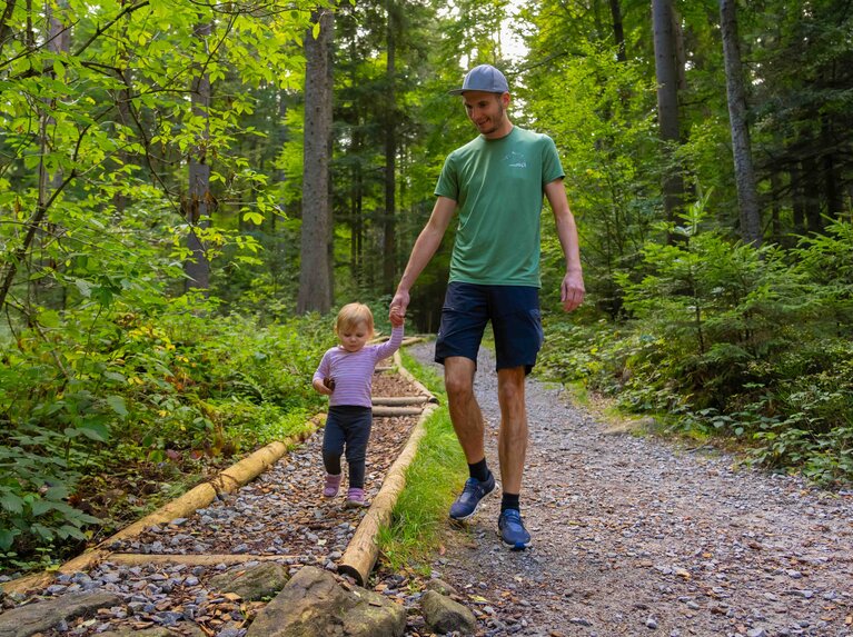 Ein Vater hält seine kleine Tochter an der Hand. Sie geht über einen Barfußpfad neben dem Waldweg. | © Bodenmais Tourismus & Marketing GmbH