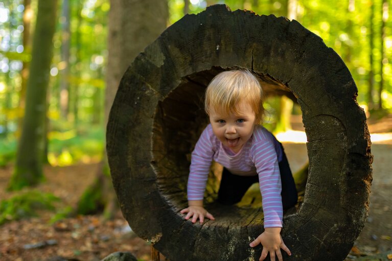 Ein kleines Mädchen krabbelt durch einen ausgehöhlten Baumstamm. | © Bodenmais Tourismus & Marketing GmbH