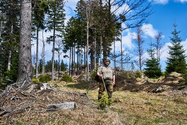 Der Woid Woife, ein großer, kräftiger Mann mit Filzhut und Wanderstock, läuft durch den Wald | © Bodenmais Tourismus & Marketing GmbH