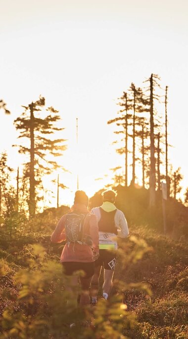 Zwei Trailrunner, ein Mann und eine Frau, laufen auf einem schmalen Weg durch kniehohe Sträucher, in Richtung der untergehenden Sonne. Durch den Sonnenuntergang ist das ganze Bild in warmes Licht getaucht. | © Bodenmais Tourismus & Marketing GmbH