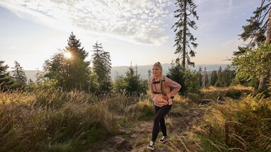 Eine blonde Frau, sportlich gekleidet, wandert auf einem Weg durch Sträucher. Durch vereinzelt stehende Bäume strahlt die tiefstehende Sonne. | © Bodenmais Tourismus & Marketing GmbH
