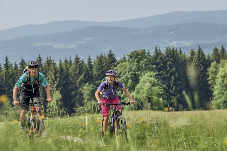 Zwei Radfahrer fahren über einen Radweg, der durch Felder und Wiesen führt. Hinter ihnen liegt ein Waldstück und dahinter liegen Täler und Berge des Bayerischen Waldes. | © Bodenmais Tourismus & Marketing GmbH