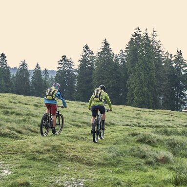 Zwei Radfahrer fahren nebeneinander über eine Wiese in Richtung Wald. | © Bodenmais Tourismus & Marketing GmbH