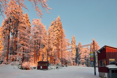 Die Bäume am Bretterschachten werden vom Sonnenuntergang rot angestrahlt. Durch den blauen Himmel dahinter wirkt der Kontrast noch stärker. | © Bodenmais Tourismus & Marketing GmbH