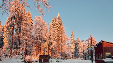 Die Bäume am Bretterschachten werden vom Sonnenuntergang rot angestrahlt. Durch den blauen Himmel dahinter wirkt der Kontrast noch stärker. | © Bodenmais Tourismus & Marketing GmbH