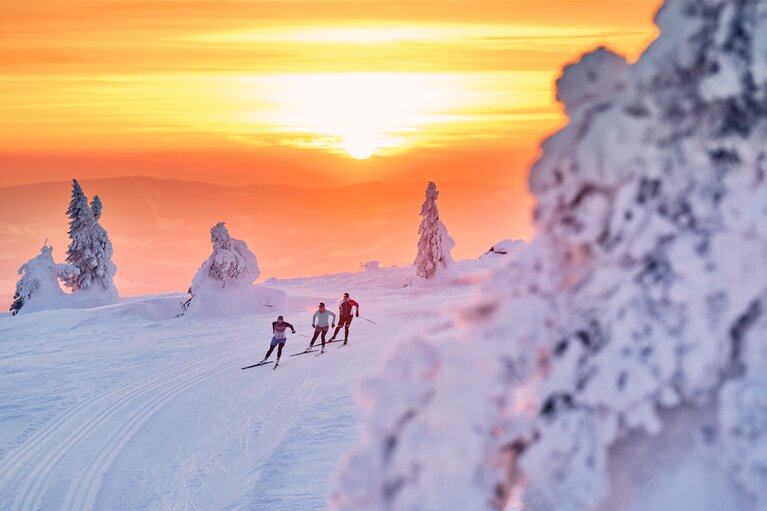 Drei Langläufer sind in Bodenmais auf einer Höhenloipe unterwegs. Hinter ihnen geht die Sonne unter und färbt den gesamten Himmel in Orange- und Rottönen. | © Bodenmais Tourismus & Marketing GmbH