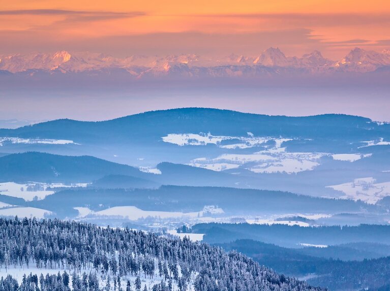 Von der Höhenloipe aus sieht man beim Sonnenuntergang bis zu den Alpen. | © Bodenmais Tourismus & Marketing GmbH