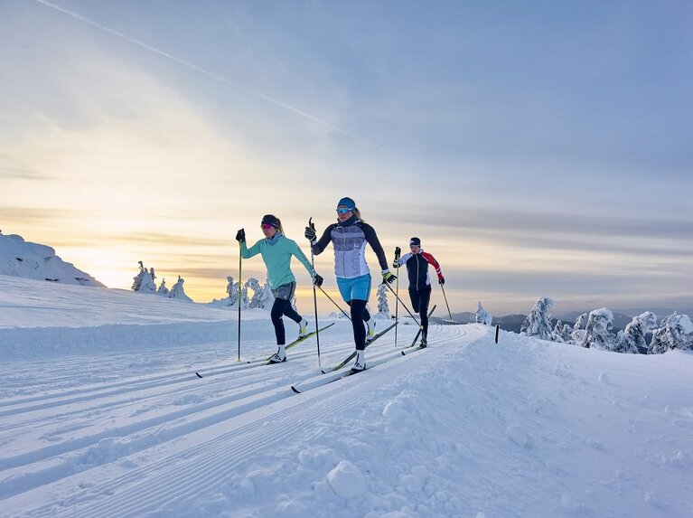 Drei Langläufer fahren auf klassische Art auf einer Loipe, die weit oben liegt. Drumherum stehen vereinzelt Bäume und alles ist von Schnee bedeckt. | © Bodenmais Tourismus & Marketing GmbH
