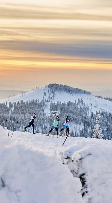 Durch verschneite Bäume hindurch sieht man drei Langläufer auf einer Loipe. Hinter ihnen geht die Sonne unter, die den Himmel orange einfärbt. | © Bodenmais Tourismus & Marketing GmbH