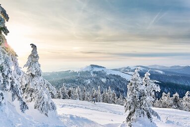 Durch schneebedeckte Bäume hindurch blickt man auf die Gipfel des Bayerischen Waldes, die ebenfalls mit Schnee bedeckt sind. Am unteren Bildrand ist eine Loipe mit einer Langläuferin drauf zu erkennen. | © Bodenmais Tourismus & Marketing GmbH