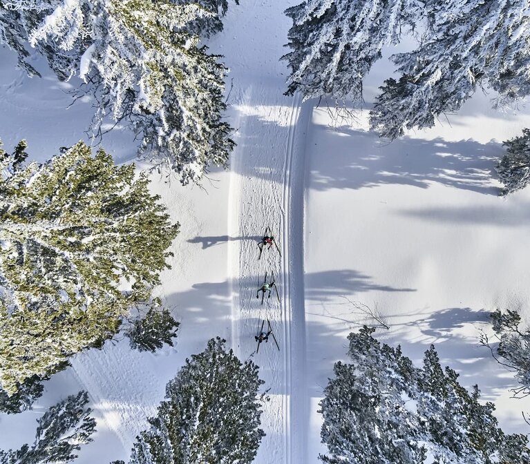 Aus der Vogelperspektive erkennt man drei Langläufer, die auf einer Loipe durch den verschneiten Wald skaten. | © Bodenmais Tourismus & Marketing GmbH