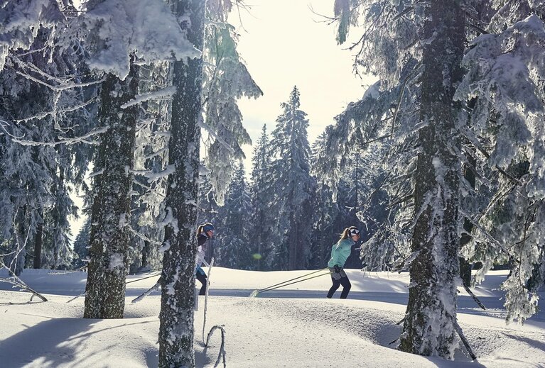 Zwei Langläuferinnen fahren auf einer Loipe durch den Wald. Der Schnee liegt fast kniehoch. | © Bodenmais Tourismus & Marketing GmbH