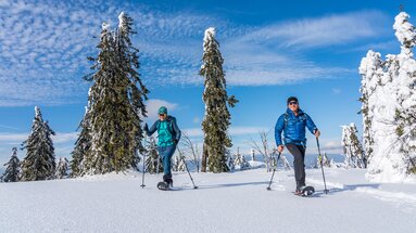 Zwei Schneeschuhwanderer laufen über den Schneebedeckten Boden, in dem noch keinerlei Spuren zu sehen sind. Hinter ihnen stehen Nadelbäume und der Himmel strahlt blau. | © Bodenmais Tourismus & Marketing GmbH