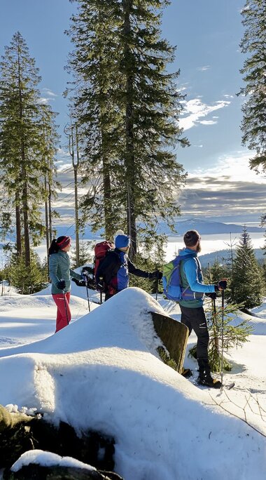 Drei Schneeschuhwanderer stehen im Wald. Der Boden ist mit Schnee bedeckt, die Sonne scheint und die Wanderer schauen in durch die Bäume ins Tal. | © Bodenmais Tourismus & Marketing GmbH