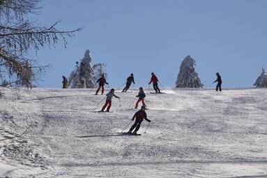 Besucher fahren am Silberberg mit ihrer Skiausrüstung nach unten | © Bodenmais Tourismus & Marketing GmbH