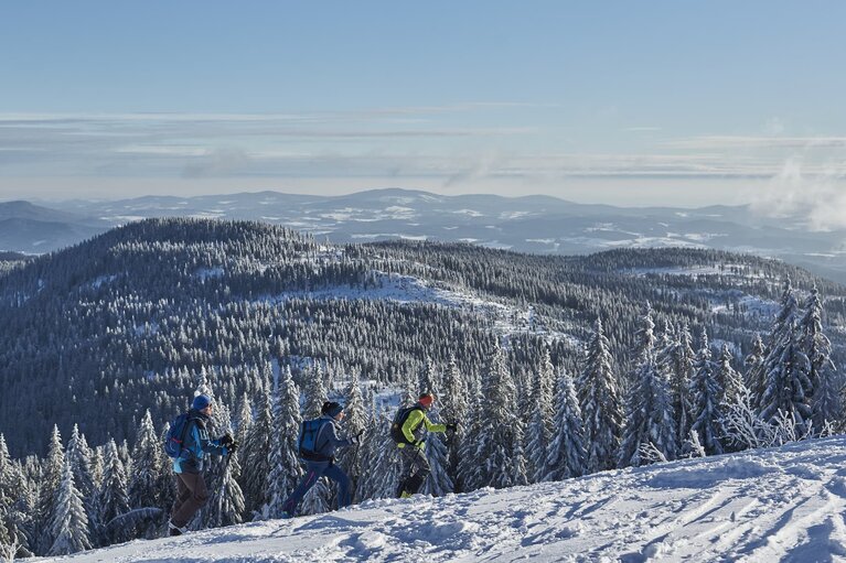 Drei Skitourengeher laufen einen beschneiten Berg nach oben. Sie befinden sich schon ziemlich weit oben, da man einen guten Ausblick auf die umliegenden Gipfel und Täler hat. | © Bodenmais Tourismus & Marketing GmbH