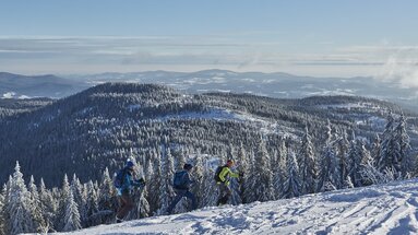 Drei Skitourengeher laufen einen beschneiten Berg nach oben. Sie befinden sich schon ziemlich weit oben, da man einen guten Ausblick auf die umliegenden Gipfel und Täler hat. | © Bodenmais Tourismus & Marketing GmbH