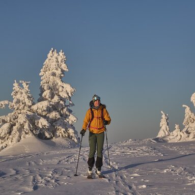 Eine Skitourengeherin läuft auf einem Berg über den Schnee. Nur vereinzelt stehen schneebedeckte Nadelbäume. | © Bodenmais Tourismus & Marketing GmbH