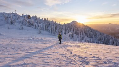 Ein Skitourengeher befindet sich auf dem winterlichen Großen Arber. In etwas Entfernung stehen das Gipfelkreuz sowie die Zwieseler Hütte. | © Bodenmais Tourismus & Marketing GmbH