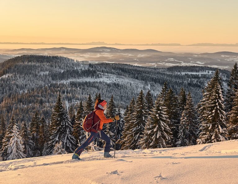 Eine Frau läuft auf ihren Tourenski durch den Schnee einen Berg hinauf. Die umliegenden Gipfel werden von der untergehenden Sonne orange angestrahlt. | © Bodenmais Tourismus & Marketing GmbH