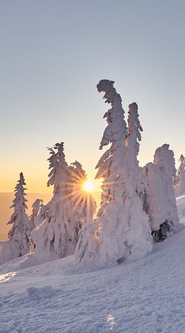 In einer zauberhaften weißen Winterlandschaft steht eine kleine eingeschneite Kapelle. Zwischen weißen Bäumen geht die Sonne unter. | © Bodenmais Tourismus & Marketing GmbH