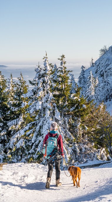 Eine Frau läuft mit ihrem Hund an der Leine am Gipfel des Großen Arbers in Richtung der Kapelle. Alles ist von Schnee bedeckt, der Himmel ist blau und die Sonne scheint. | © Bodenmais Tourismus & Marketing GmbH