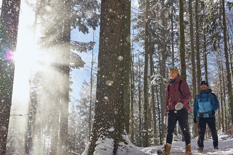 Zwei Wanderer laufen durch einen verschneiten Wald. Von der Seite wird Schnee auf den Weg verweht, welcher durch die Sonnen angeleuchtet glitzert. | © Bodenmais Tourismus & Marketing GmbH