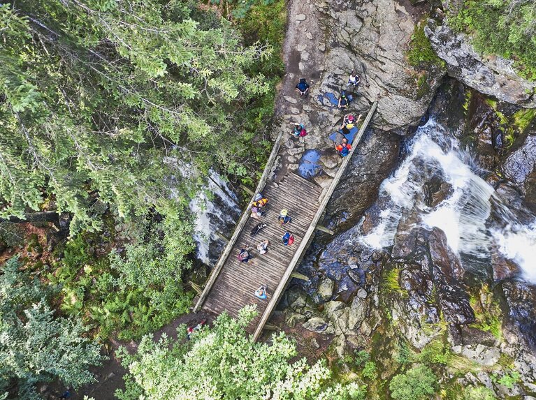 Aus der Vogelperspektive: Mehrere Wandere Überqueren auf einer Brücke einen Flusslauf. Der Wald um sie herum ist sommerlich grün. | © Bodenmais Tourismus & Marketing GmbH