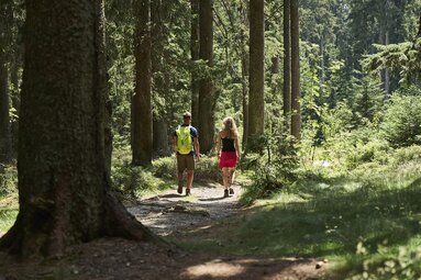 Ein Paar läuft auf einem Wanderweg durch einen Wald. | © Bodenmais Tourismus & Marketing GmbH