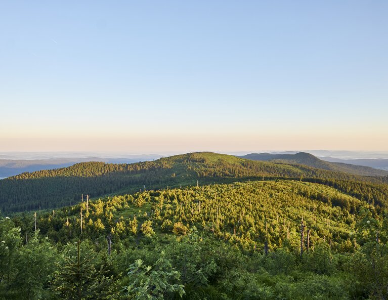 Von einem Gipfel aus blickt man über die sanften grünen Berge des Bayerischen Waldes | © Bodenmais Tourismus & Marketing GmbH