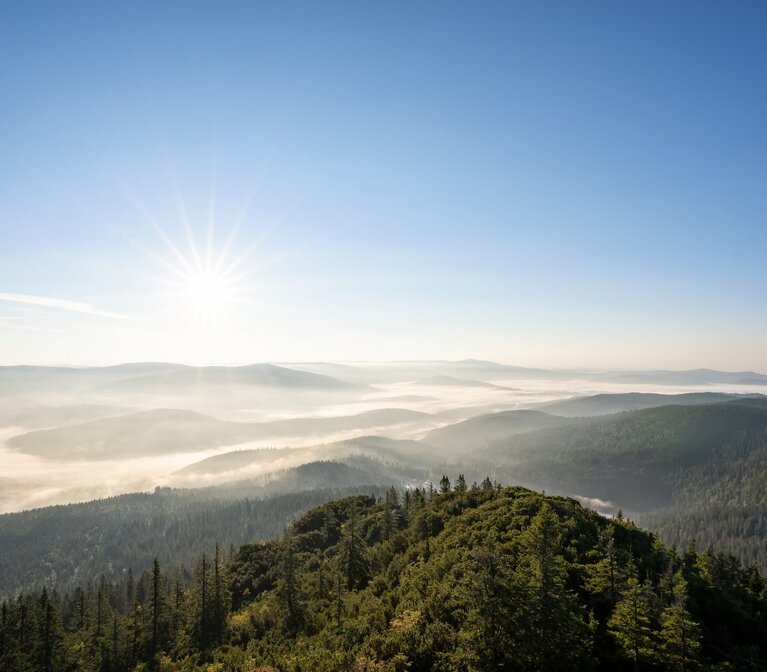 Vom Großen Arber aus blickt man bei blauem Himmel und Sonnenschein auf die Berge und Täler, in denn Nebel liegt, des Bayerischen Waldes.  | © Bodenmais Tourismus & Marketing GmbH