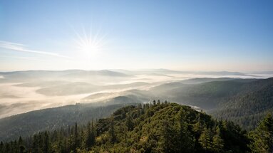 Vom Großen Arber aus blickt man bei blauem Himmel und Sonnenschein auf die Berge und Täler, in denn Nebel liegt, des Bayerischen Waldes.  | © Bodenmais Tourismus & Marketing GmbH