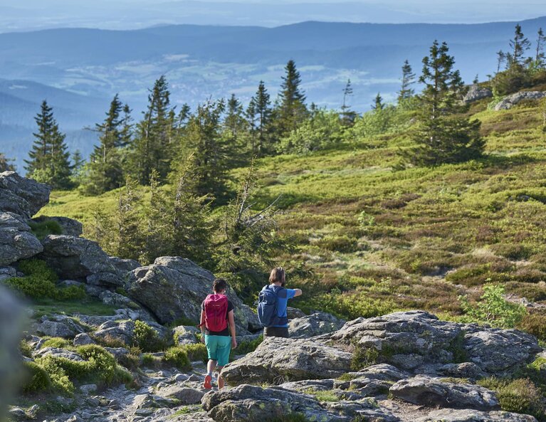 Ein Paar wandert auf einem felsigen Weg am Großen Arber auf eine mit Moos und Heidelbeersträucher bewachsene Freifläche zu. | © Bodenmais Tourismus & Marketing GmbH