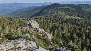 Zwei Wanderer laufen zum Gipfel des Großen Arber und haben dabei eine fantastische Aussicht auf den Bayerischen Wald. | © Bodenmais Tourismus & Marketing GmbH