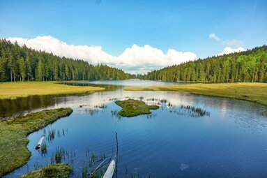 Vom hinteren Ende blickt man über den See, der schon teilweise im Schatten liegt. | © Bodenmais Tourismus & Marketing GmbH
