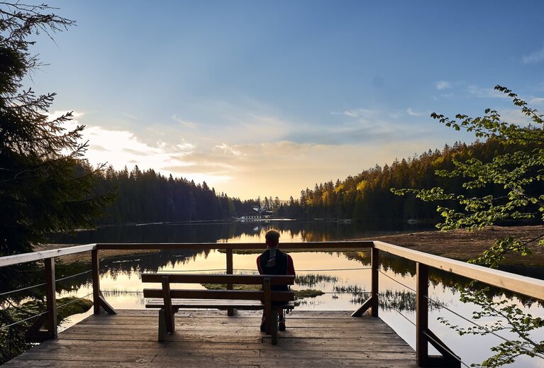 Auf einer Aussichtplattform am Großen Arbersee steht eine Holzbank, auf welcher ein Mann sitzt. Sein Blickt ist auf den See gerichtet. | © Bodenmais Tourismus & Marketing GmbH