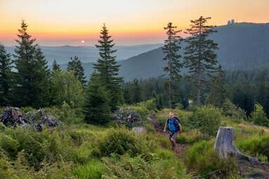 Ein Wanderer geht bei Sonnenaufgang auf den Kleinen Arber. Im Hintergrund sieht man den Großen Arber | © Bodenmais Tourismus & Marketing GmbH
