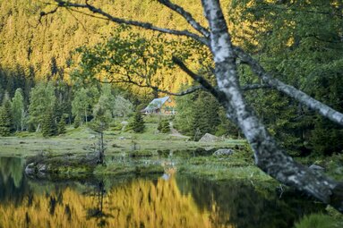Über den Kleinen Arbersee hinweg blickt man auf die Gaststätte Seehäusl. Der sonnige Wald spiegelt sich im Wasser. | © Bodenmais Tourismus & Marketing GmbH